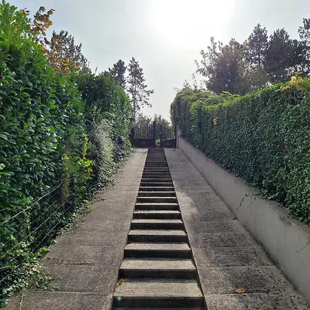 Tl 26 - Sous Les Palmiers Au Soleil Holiday home Eu (Seine-Maritime)